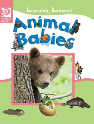 Mláďatá zvierat - Animal Babies