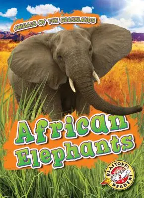 Africké slony - African Elephants