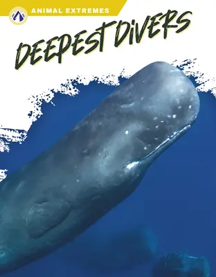 Najhlbší potápači - Deepest Divers