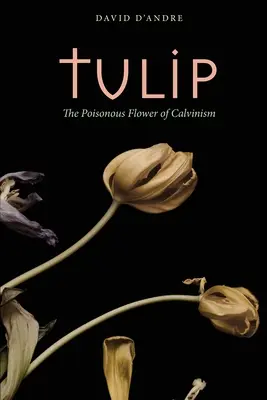 Tulipán: Jedovatý kvet kalvinizmu - Tulip: The Poisonous Flower of Calvinism