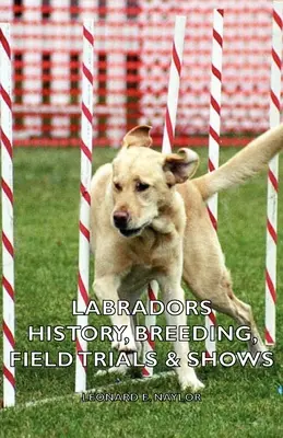 Labradory - história, chov, poľné skúšky a výstavy - Labradors - History, Breeding, Field Trials & Shows