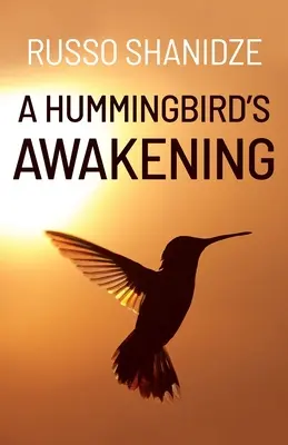 Prebudenie kolibríka - A Hummingbird's Awakening