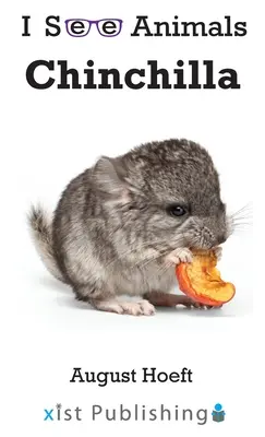 Činčila - Chinchilla