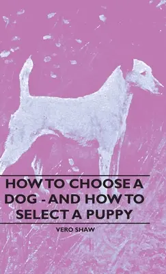 Ako si vybrať psa - a ako vybrať šteňa - How To Choose A Dog - And How To Select A Puppy