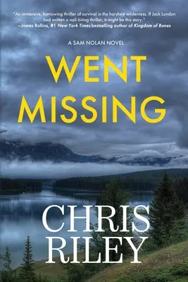 Went Missing: A Sam Nolan Novel (román o Samovi Nolanovi) - Went Missing: A Sam Nolan Novel