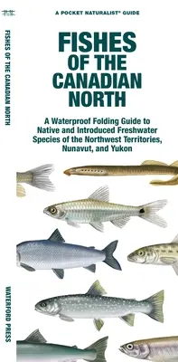 Ryby kanadského severu: Vodeodolný skladací sprievodca pôvodnými a introdukovanými sladkovodnými druhmi Severozápadných teritórií, Nunavutu a Yukonu - Fishes of the Canadian North: A Waterproof Folding Guide to Native and Introduced Freshwater Species of the Northwest Territories, Nunavut and Yukon