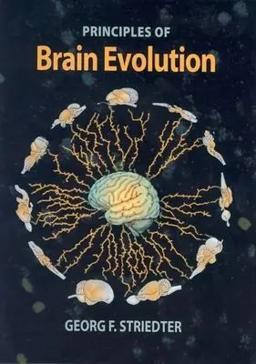 Princípy vývoja mozgu - Principles of Brain Evolution