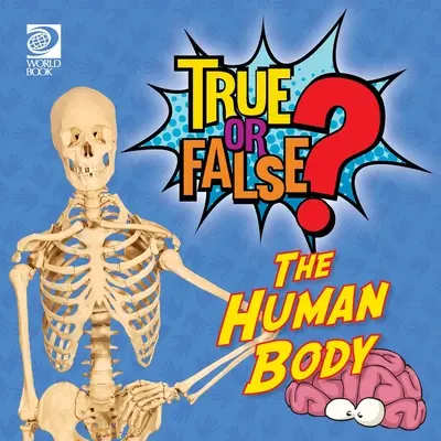 Pravda alebo lož? Ľudské telo - True or False? The Human Body