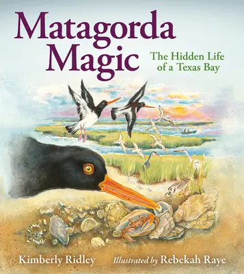 Matagorda Magic: Skrytý život texaského zálivu - Matagorda Magic: The Hidden Life of a Texas Bay