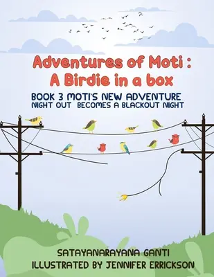 Dobrodružstvá Motiho: Motiho nové dobrodružstvo: Z noci vonku sa stane noc bez prúdu - Adventures of Moti: Book 3: Moti's New Adventure: Night Out Becomes A Blackout Night