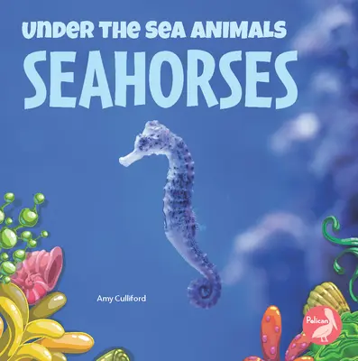 Morské koníky - Seahorses