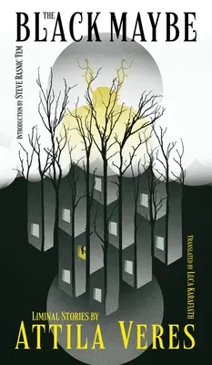 The Black Maybe (Čierne možno): Liminálne poviedky - The Black Maybe: Liminal Tales