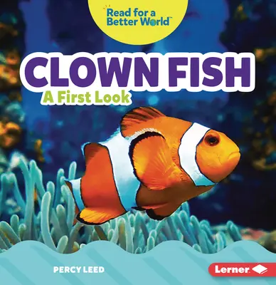 Klaunovité ryby: Prvý pohľad - Clown Fish: A First Look
