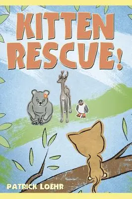 Záchrana mačiatka! - Kitten Rescue!