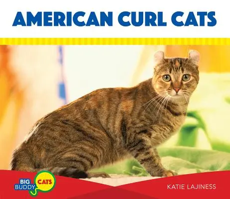 Americké mačky Curl - American Curl Cats