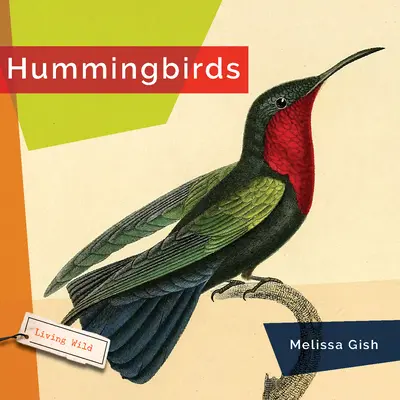 Kolibríky - Hummingbirds