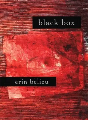 Čierna skrinka - Black Box