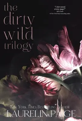 Špinavá divoká trilógia - Dirty Wild Trilogy