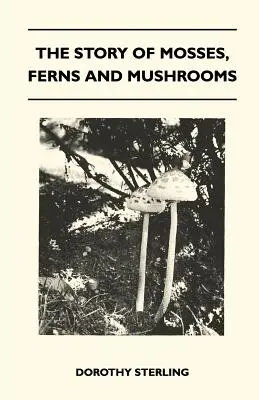 Príbeh machov, papradí a húb - The Story Of Mosses, Ferns And Mushrooms