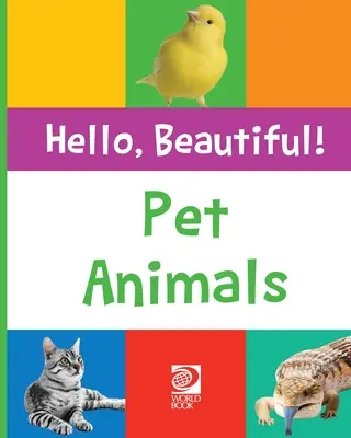 Domáce zvieratá - Pet Animals
