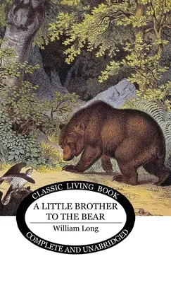 Malý brat medveďa - Little Brother to the Bear