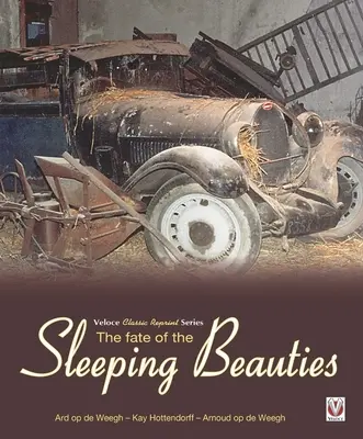 Osud spiacich krásavíc - The Fate of the Sleeping Beauties