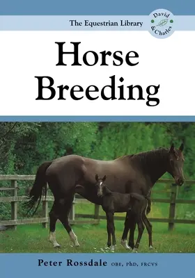 Chov koní - Horse Breeding