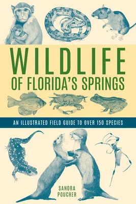 Divoká príroda floridských prameňov: Ilustrovaný terénny sprievodca viac ako 150 druhmi - Wildlife of Florida's Springs: An Illustrated Field Guide to Over 150 Species