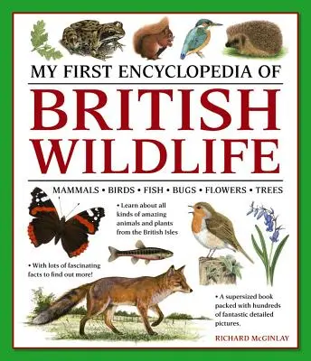 Moja prvá encyklopédia britskej divokej prírody: Cicavce, vtáky, ryby, chrobáky, kvety, stromy - My First Encylopedia of British Wildlife: Mammals, Birds, Fish, Bugs, Flowers, Trees