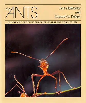 Mravce - The Ants