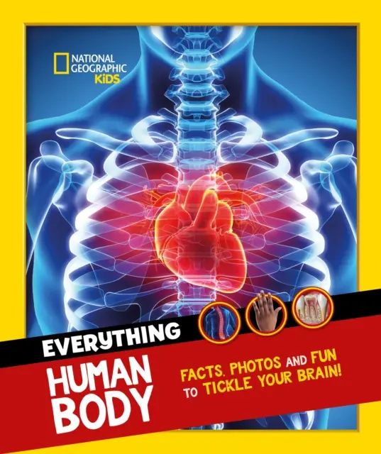 Všetko: Ľudské telo - fakty a fotografie, ktoré vám otvoria oči a pošteklia mozog! - Everything: Human Body - Eye-Opening Facts and Photos to Tickle Your Brain!