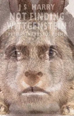 Nenájsť Wittgensteina - Not Finding Wittgenstein
