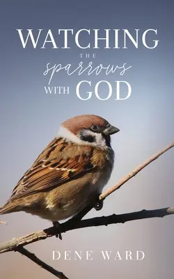 Pozorovanie vrabcov s Bohom - Watching the Sparrows with God