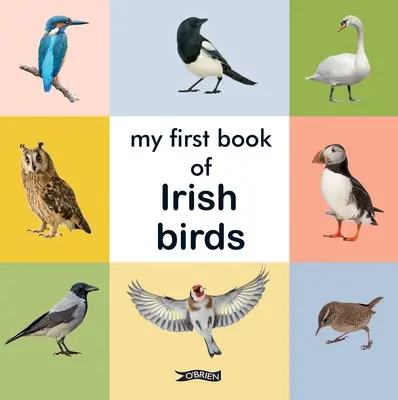 Moja prvá kniha o írskych vtákoch - My First Book of Irish Birds