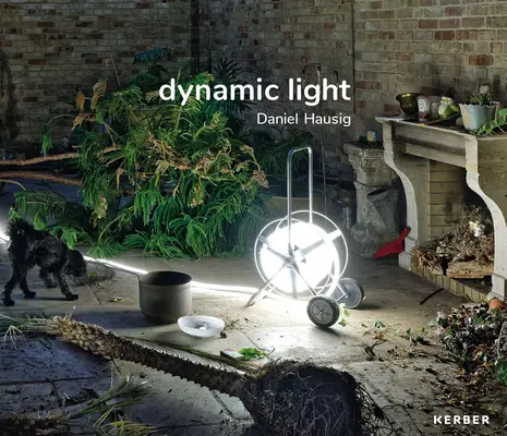 Daniel Hausig: Dynamické svetlo - Daniel Hausig: Dynamic Light