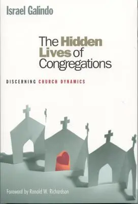 Skrytý život kongregácií: Rozpoznávanie dynamiky cirkvi - The Hidden Lives of Congregations: Discerning Church Dynamics