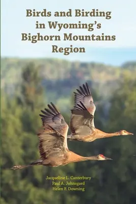 Vtáky a vtáctvo v regióne Bighorn Mountains vo Wyomingu - Birds and Birding in Wyoming's Bighorn Mountains Region