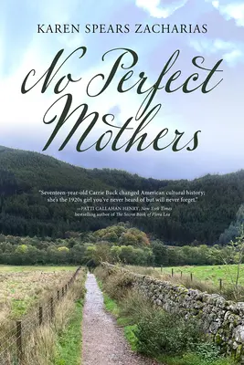 Žiadne dokonalé matky - No Perfect Mothers