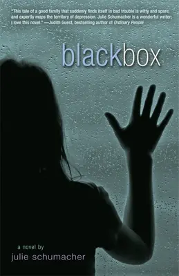 Čierna skrinka - Black Box