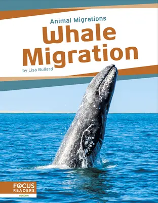 Migrácia veľrýb - Whale Migration