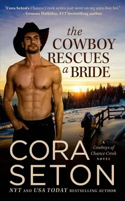 Kovboj zachraňuje nevestu - The Cowboy Rescues a Bride