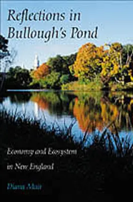 Odrazy v Bulloughovom rybníku: Hospodárstvo a ekosystém v Novom Anglicku - Reflections in Bullough's Pond: Economy and Ecosystem in New England