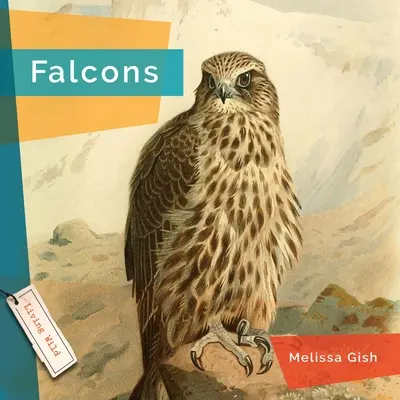 Sokoli - Falcons