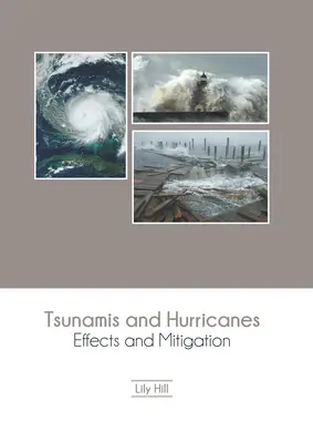 Tsunami a hurikány: Vplyvy a zmierňovanie následkov - Tsunamis and Hurricanes: Effects and Mitigation