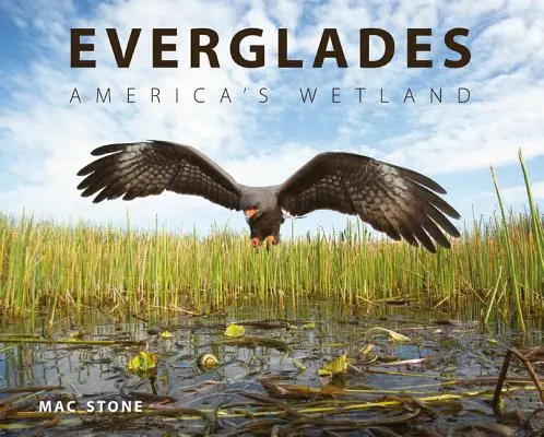 Everglades: Americká mokraď - Everglades: America's Wetland