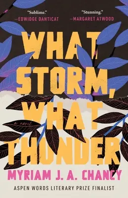 Čo búrka, to hrom - What Storm, What Thunder