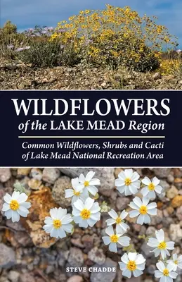 Divoké kvety oblasti jazera Mead - Wildflowers of the Lake Mead Region