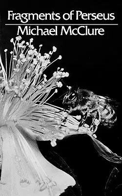 Fragmenty Persea: Poézia - Fragments of Perseus: Poetry