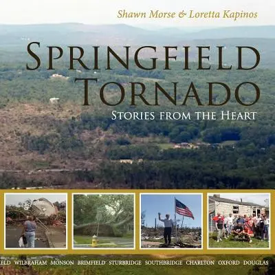 Springfieldské tornádo: Príbehy zo srdca - Springfield Tornado: Stories From The Heart