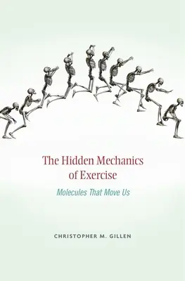 Skrytá mechanika cvičenia: Molekuly, ktoré nás hýbu - Hidden Mechanics of Exercise: Molecules That Move Us